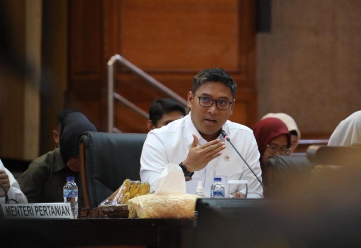 Rahasia Efisiensi Anggaran Jokowi!