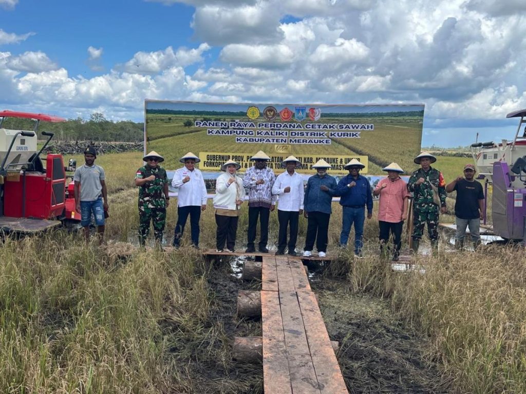 Wow! Papua Selatan Jadi Lumbung Pangan Nasional!