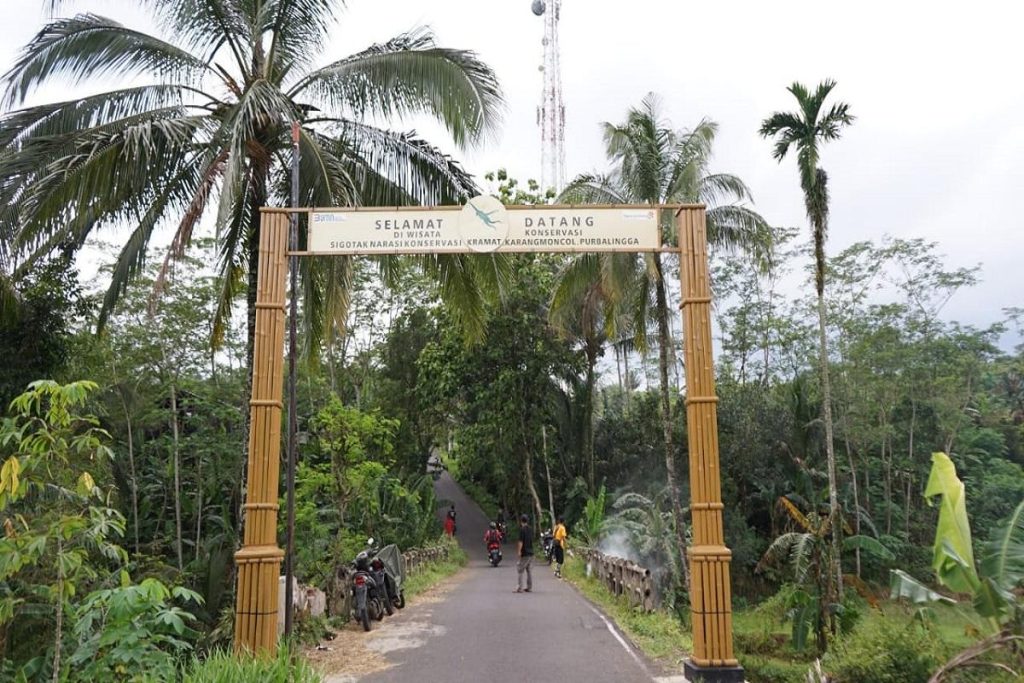 Desa Wisata Purbalingga: Konservasi & Ekonomi Berdampingan!
