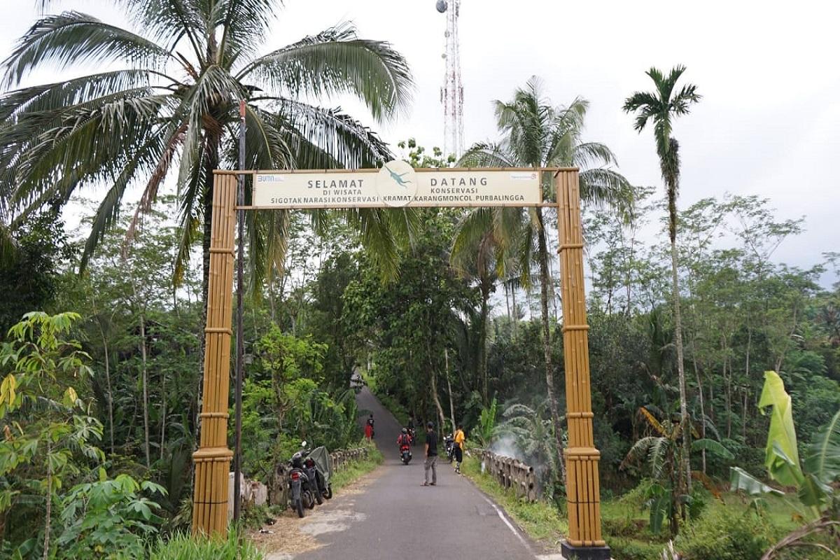 Desa Wisata Purbalingga: Konservasi & Ekonomi Berdampingan!