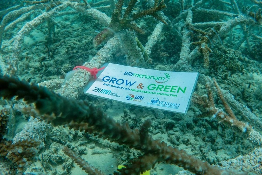 Wow! BRI Selamatkan Gili Matra!
