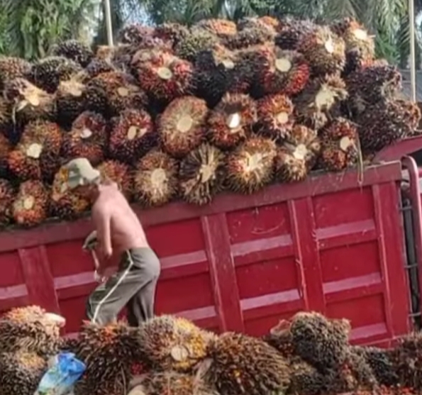 IHSG Hijau, Saham Apa yang Moncer?