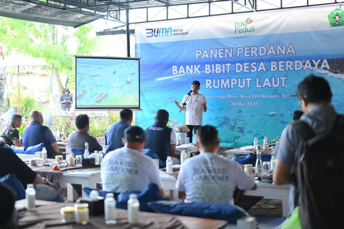 Rahasia Sukses Petani Rumput Laut Bali!