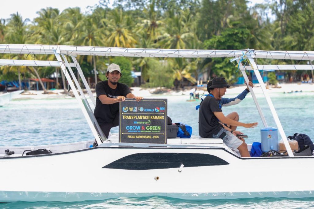 Rahasia Pulau Kapoposang: BRI Selamatkan Surga Bawah Laut!