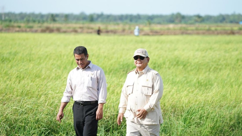 Rekor Beras Bulog Tembus 4 Juta Ton!