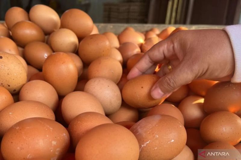 Harga Telur & Cabai Meroket! Dompet Warga Menjerit?