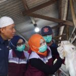  SIG Kurban 21 Ton! Warga Sumringah di 20 Provinsi