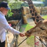 KBS Surabaya: Wisata Murah, Edukasi Kaya!
