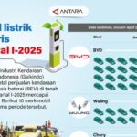 Mobil Listrik Laris Manis! Siapa Rajanya?