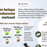  Kelapa RI Jadi Primadona Dunia! Ekspor Melejit