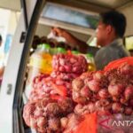 Harga Bawang Meroket! Cabai Pedasnya Bikin Dompet Menjerit?