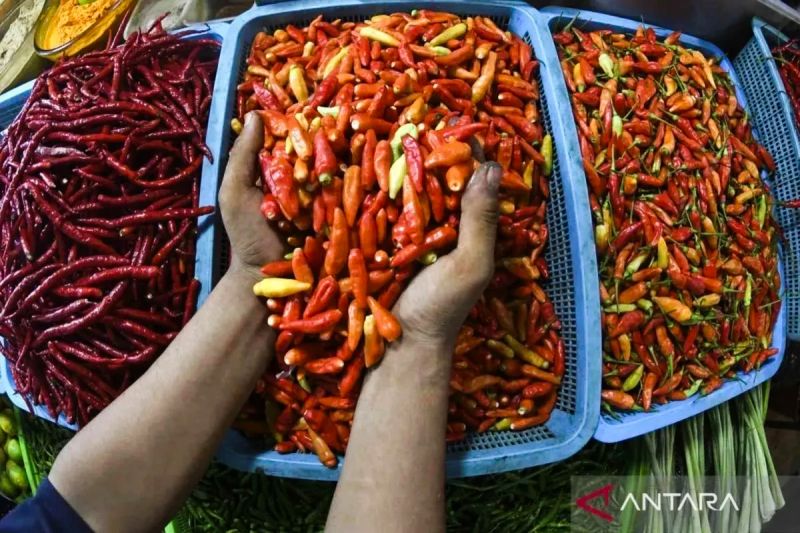 Harga Bawang & Cabai Naik? Cek Update Harga Pangan!