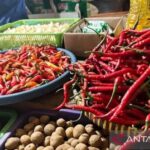 Harga Cabai & Bawang Merah Turun! Segini Harganya Sekarang