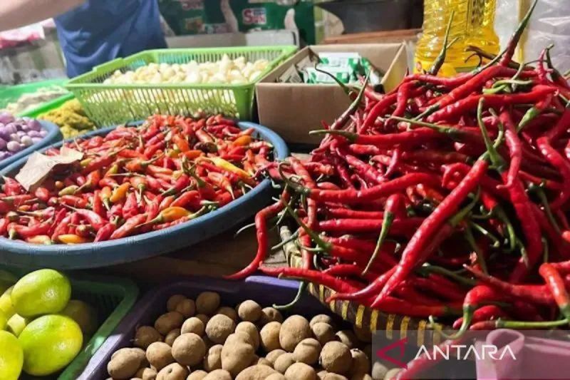 Harga Cabai & Bawang Merah Turun! Segini Harganya Sekarang