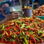 Harga Bawang & Cabai Meroket! Dompet Warga Menjerit?