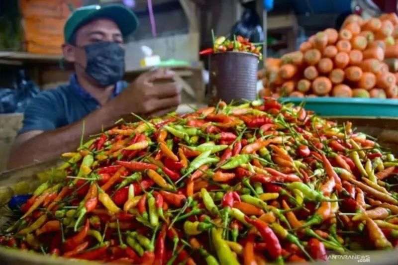 Harga Bawang & Cabai Meroket! Dompet Warga Menjerit?