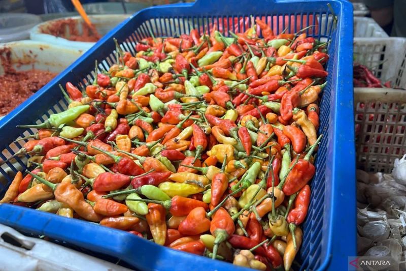 Harga Cabai Meroket! Bawang Ikut-Ikutan? Cek di Sini!