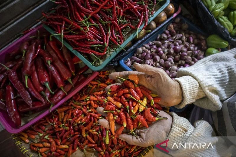  Harga Cabai & Bawang Merah Turun! Sinyal Baik?
