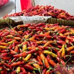 Harga Bawang & Cabai Meroket? Cek Update Terbaru!