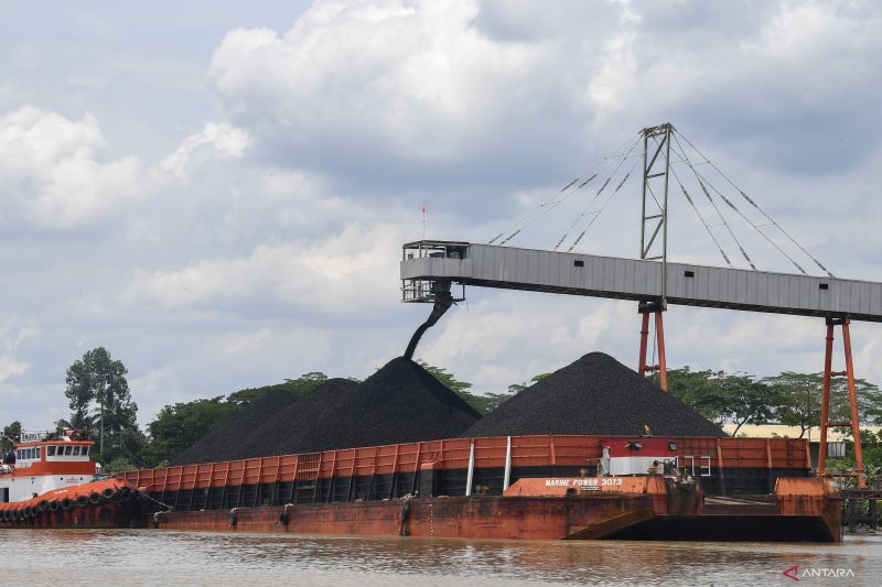 Harga Batu Bara Anjlok! Ada Apa dengan Pasar?
