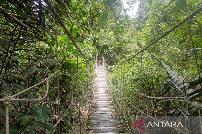 Kaltim Raih Dana Pelestarian Hutan, Rp329 Miliar!