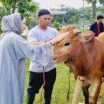 Berkah Idul Adha: Yayasan Thohir Berbagi, Warga Tersenyum!