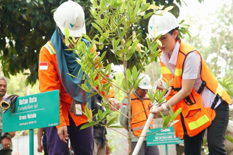 Vale Indonesia: Hutan Baru 3x Lebih Luas dari Tambang!