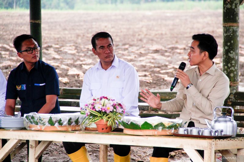 Gula Lokal 2027: Misi Mendesak dari Wapres!