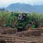 Manis Pahit Gula RI: Mungkinkah Swasembada?