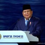  Ekonomi RI Melesat? Prabowo Andalkan Rusia & China!