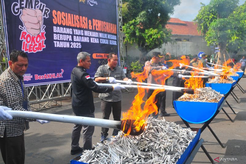 Bea Cukai Siapkan Jurus Jitu Berantas Rokok Ilegal!