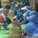 Pupuk Mahal, Petani Kopi Jerit ke Gibran!