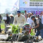 Panen 3x Setahun? Kementan Genjot Lahan Petani!