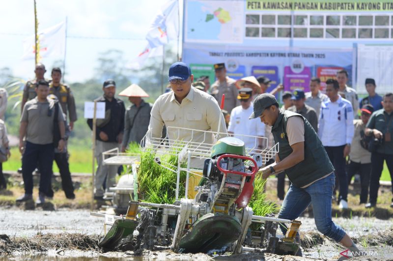 Panen 3x Setahun? Kementan Genjot Lahan Petani!