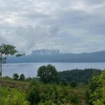 Vale Buktikan! Tambang Bisa Untung, Alam Tak Buntung