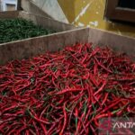 Harga Cabai dan Bawang Merah Kompak Turun! Cek Harga Lainnya