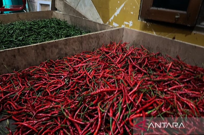Harga Cabai dan Bawang Merah Kompak Turun! Cek Harga Lainnya