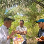 Petani Kaltim Siap Go Global! Didukung Sertifikasi Sawit
