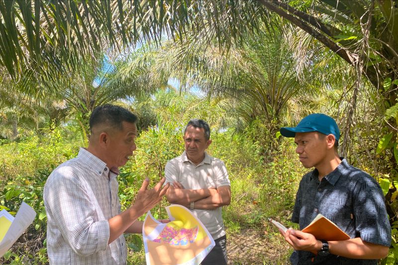 Petani Kaltim Siap Go Global! Didukung Sertifikasi Sawit