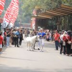 Safari Bogor Gebrak! Parade Satwa Meriahkan HUT RI ke-80