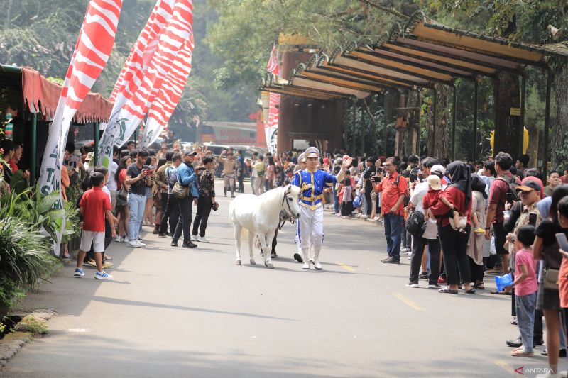 Safari Bogor Gebrak! Parade Satwa Meriahkan HUT RI ke-80