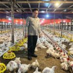 Bibit Ternak Murah Bikin Antre? Kementan Gandeng Ombudsman!