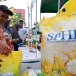 Harga Beras Stabil? Bulog Siap Gelontorkan Jutaan Ton!