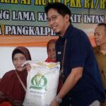  Beras Gratis di Pangkalpinang? Cek Faktanya!