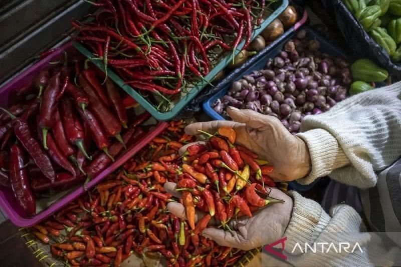  Harga Cabai Meroket! Bawang Ikut-ikutan? Cek Disini!