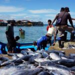 Laut Sejahtera: KKP Genjot SDM Ekonomi Biru!