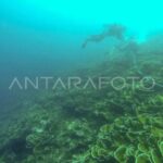  Laut Indonesia Terancam? Evaluasi Pengelolaan Mendesak!