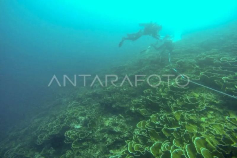  Laut Indonesia Terancam? Evaluasi Pengelolaan Mendesak!