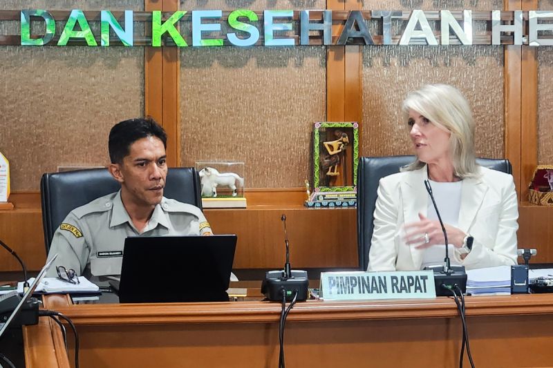  Sapi Impor Aman? RI-Australia Ketatkan Aturan!
