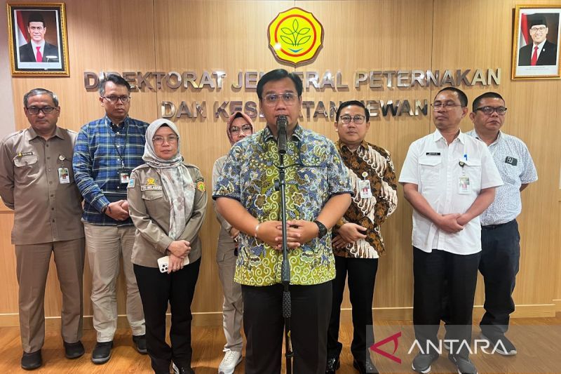 Harga Ayam Stabil? Kementan Banjir Pujian!